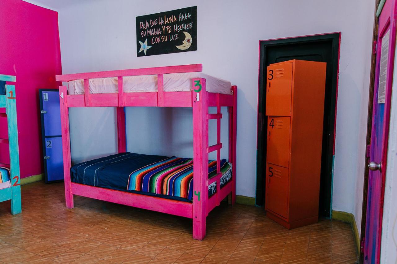 Hostal Chesal Сан-Луис-Потоси Экстерьер фото