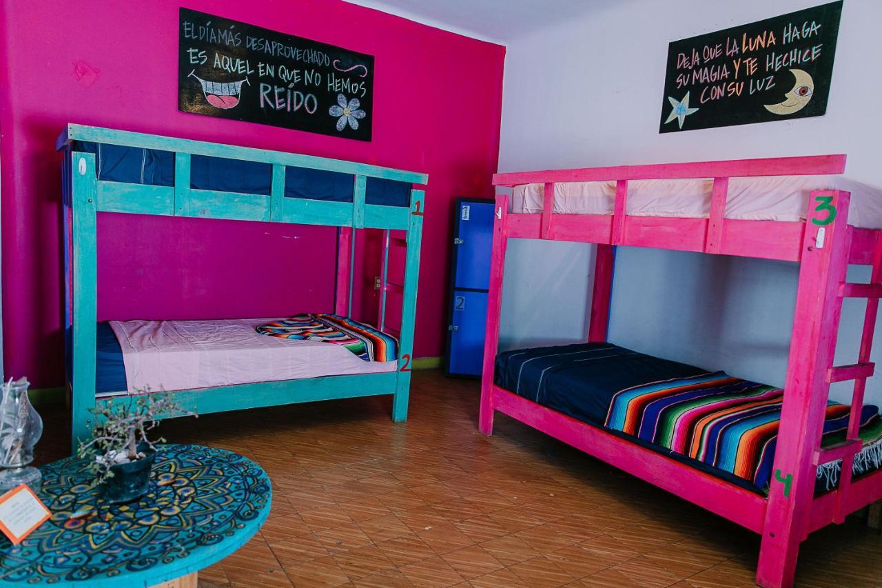 Hostal Chesal Сан-Луис-Потоси Экстерьер фото