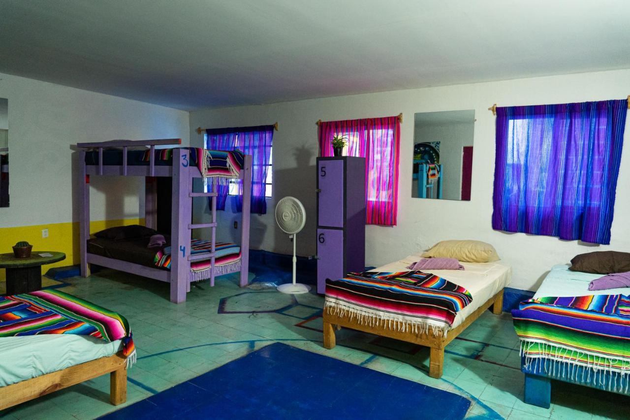 Hostal Chesal Сан-Луис-Потоси Экстерьер фото