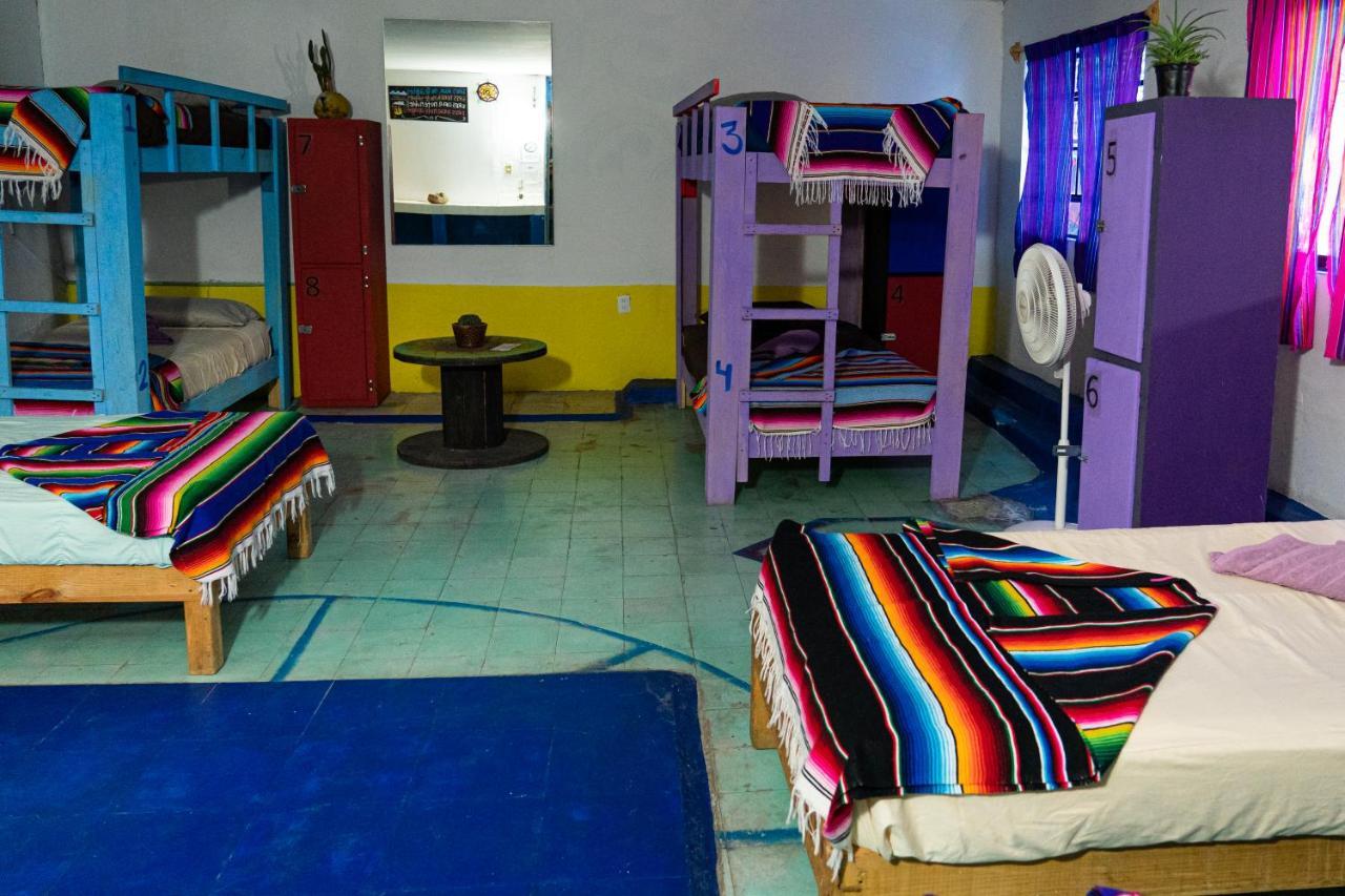 Hostal Chesal Сан-Луис-Потоси Экстерьер фото