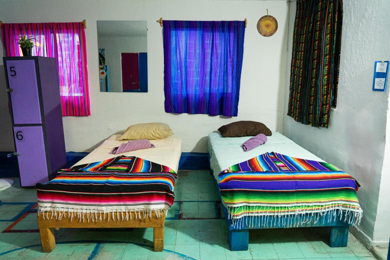 Hostal Chesal Сан-Луис-Потоси Экстерьер фото