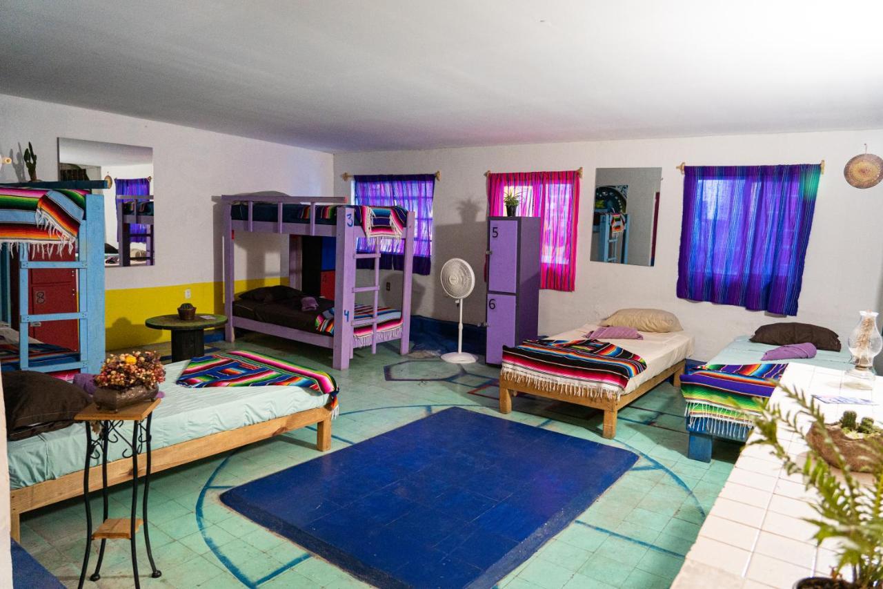 Hostal Chesal Сан-Луис-Потоси Экстерьер фото